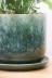 フレボディウム ブルースター　シャリシャリした質感のとても不思議な葉です! ゴツゴツした質感の陶器POTです。受け皿つき。※自然の風合いを大切にするため、色ムラや歪み、欠けなどが多少あります。ご了承ください。 
植物に生育に最適な配合の当店オリジナルの土で植えています。鉢の底には穴が開いていますので、陶器鉢内の通気が良く、植物にとって快適な環境が保てます。表面にはナチュラルなアイボリーの化粧石を敷いていますのでインテリア性もバツグンです!!