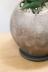 サンスベリア ポーエリー　個性的なフォルムで希少な品種の観葉植物です! コンクリートの質感の陶器POTです。受け皿つきです。※自然の風合いを大切にするため、色ムラや歪み、欠けなどが多少あります。ご了承ください。 
植物に生育に最適な配合の当店オリジナルの土で植えています。鉢の底には穴が開いていますので、陶器鉢内の通気が良く、植物にとって快適な環境が保てます。表面にはナチュラルなアイボリーの化粧石を敷いていますのでインテリア性もバツグンです!!