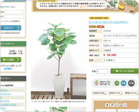 撮影した観葉植物がインターネットショップで公開・販売されている画像