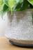 フィロデンドロン ブラジル　葉の模様がとても美しい観葉植物です! コンクリートの質感の陶器POTです。受け皿つきです。※こちらのPOTは表面に加工したものが手についたり、擦れたときにはがれることがあります。ご了承の上、ご購入くださいますようお願いいたします。 

※こちらの商品の受け皿はアイアン製となります。

植物に生育に最適な配合の当店オリジナルの土で植えています。鉢の底には穴が開いていますので、陶器鉢内の通気が良く、植物にとって快適な環境が保てます。表面にはナチュラルなアイボリーの化粧石を敷いていますのでインテリア性もバツグンです!!