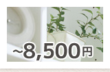 8,500円以下の観葉植物